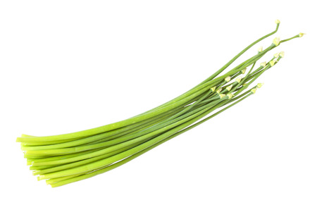 The scallion on white background の写真素材