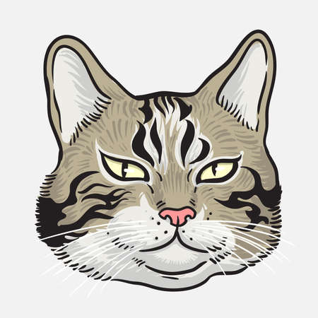 Grey cat with yellow eyes vector cartoon ,Graphic illustrationのイラスト素材