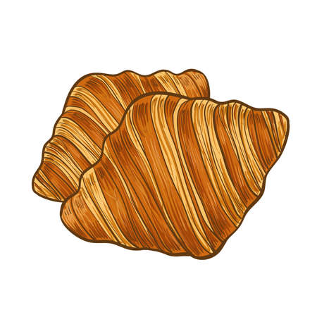 Croissant hand sketchr. Vector hand drawn croissant icon badge bakery for design menu cafe,Vector illustration.のイラスト素材
