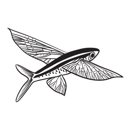 Vector Illustration of a flying fish  isolated  on white background.のイラスト素材