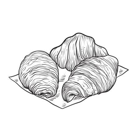 vector hand drawn croissant. Outline bakery croissant vector isolated on white backgroundのイラスト素材