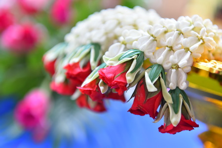 petalの写真素材