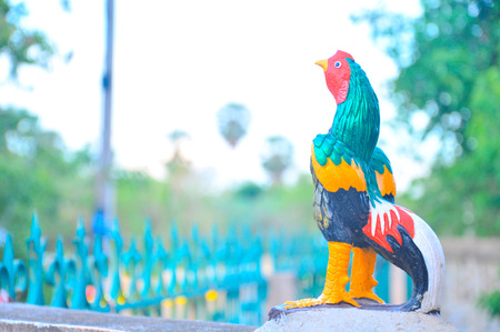 Rooster crows at dawnの写真素材