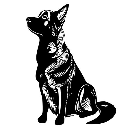 Vector image of a dog. Black and white image of a dog.のイラスト素材