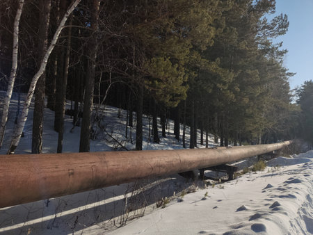 Pipeline in the winter forest. Winter landscape. High quality photoの写真素材