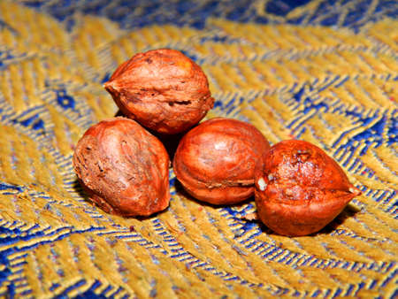 Close up of a hazelnut. Close up of a forest nut. A tower of three pieces of hazelnuts. Nut kernel...