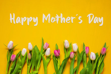English Text Happy Mothers Day. White And Pink Tulip Spring Flowers. yellow wooden backgroundの写真素材