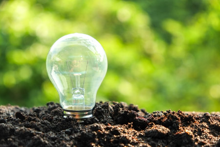 idea and energy concept Light bulb in soilの写真素材