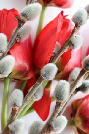 easter greeting card. willow twigs, spring flowers and Easterの写真素材