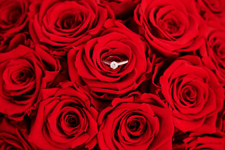 Beautiful bouquet of bright red roses with diamond engagement ring, top viewの写真素材