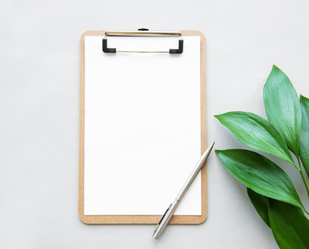 mock up clipboard and green leaves on white background top view. copyspace. flat layの写真素材