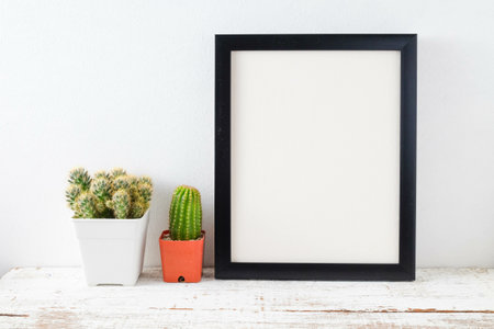 succulents or cactus in concrete pots over white background on the shelf and mock up frame photoの写真素材