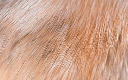 Fox fur close up. Redhead animal fur background, fur pile texture. Eco-wool, eco-leather artificial fur.の写真素材