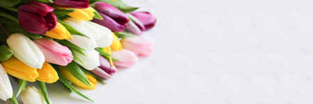 Top view of bouquet of pink, yellow, purple and white tulipsの写真素材