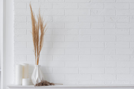 Home plant decoration arrangement with copy spaceの写真素材