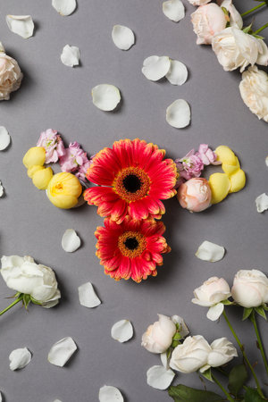 Women's health and women's healthcare concept with uterusの写真素材