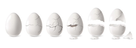 Realistic white cracked and open egg set isolated vector illustrationの写真素材