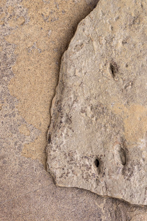 Close up of a stone with holes and holes in the rock.