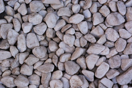 White stone pebbles texture background. Small pebbles background.