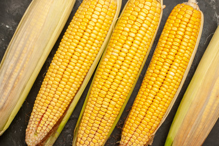 top view fresh yellow corns on the dark background raw color photo plant