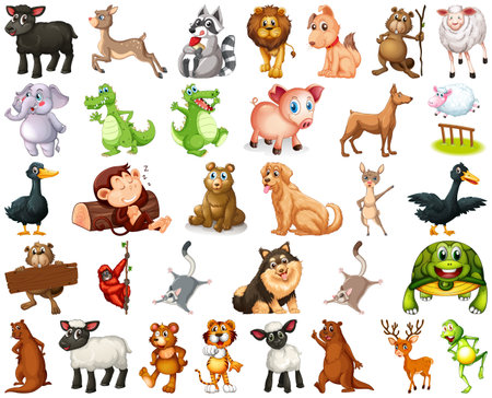 Set of animal cartoon character illustrationの写真素材