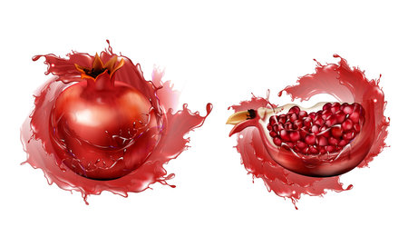 Pomegranate in juice splashes set, whole and quarter slices with seeds set isolated on white background, ripe garnet fruit design element for natural drink ad Realistic 3d vector illustration clip artの写真素材