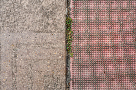 Paving slabs and green grass on the sidewalk in the cityの写真素材