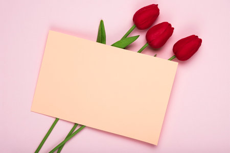 Red roses and hearts on white background. Valentines day background.