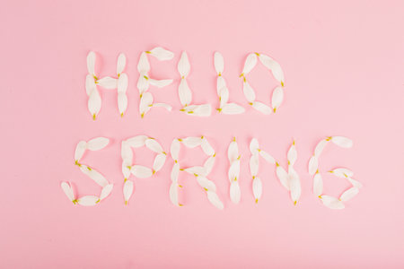 Word Hello Spring made of white petals on pink background. Flat lay, top view.の写真素材