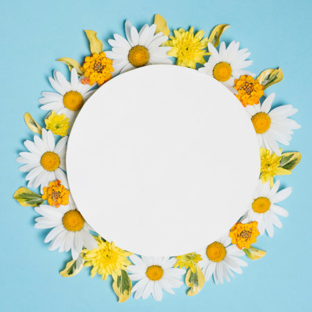 Round frame with daisies on blue background. Flat lay, top view.