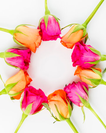 Frame of colorful roses on white background. Flat lay, top view.の写真素材