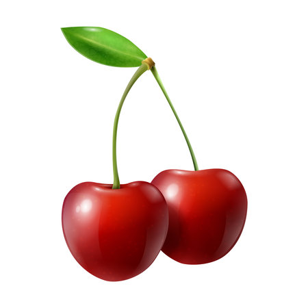 Realistic berries composition with isolated image of cherry with ripe leaves on blank background...