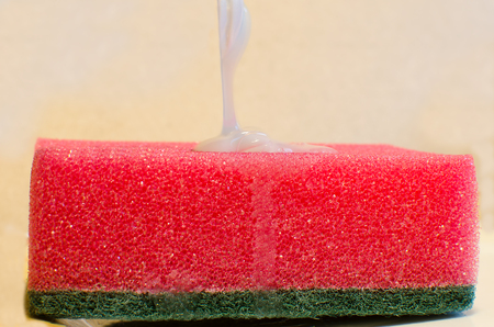 Sponge with dish washing liquidの写真素材