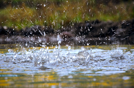 Drops of heavy rain on water