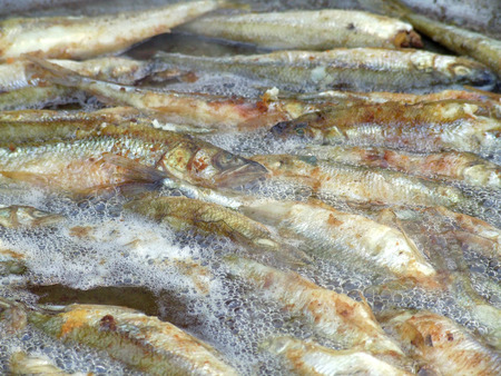 Fried small smelt tasty fish on a barbecue grill hotplate