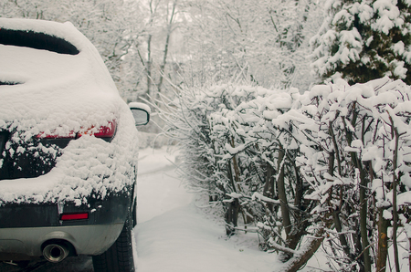 Car covered with fresh white snowの写真素材