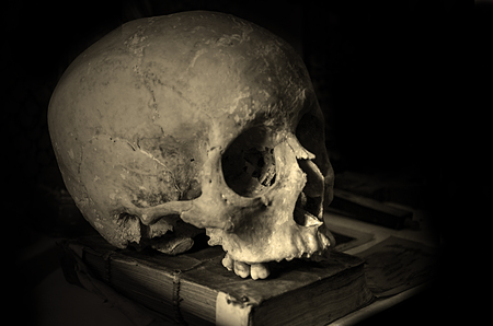 Skull on an old Book with black Backgroundの写真素材