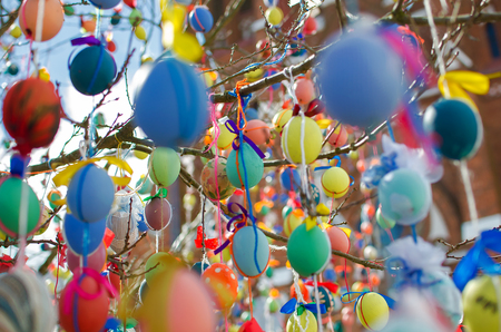 Many Colorful Easter Eggs On the tree.の写真素材