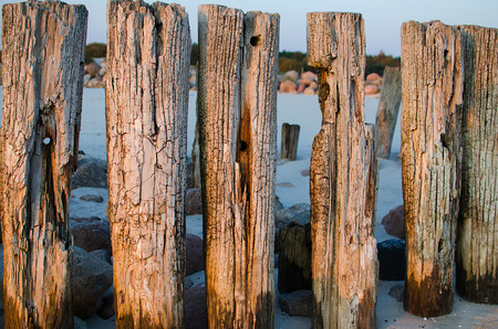 Old coastal protection with a breakwater. Wooden stakes in the seaの写真素材