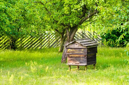 Very old, historical empty beehive in the garden. Traditional beehive from old times, made of solid wood .の写真素材