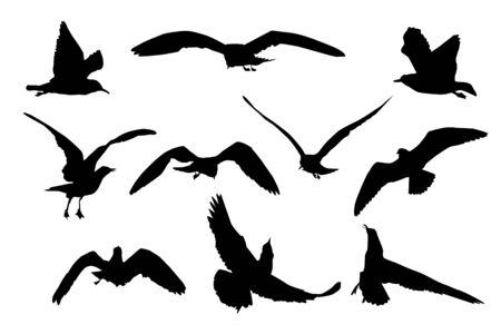 Set of black flying seagull silhouettes isolated on white background. Collection of cartoon seagulls and sea gull silhouette. Variety flying atlantic seabird in a flat style. Stock vector illustrationのイラスト素材