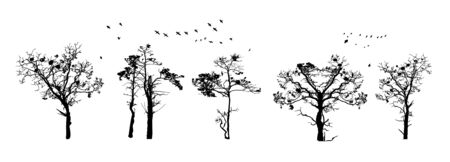 Tree silhouettes isolated on white background. Realistic set of trees silhouette. Black shape. Outline large dried trees with bare branches without leaves. Winter or autumn scenery. Stock vectorのイラスト素材