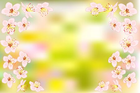 Background with cherry or pink sakura blossoms flowers on blurred green backdrop. Floral spring time season design with place for copy space. For banner, poster, flyer, greeting card vector illustrationのイラスト素材