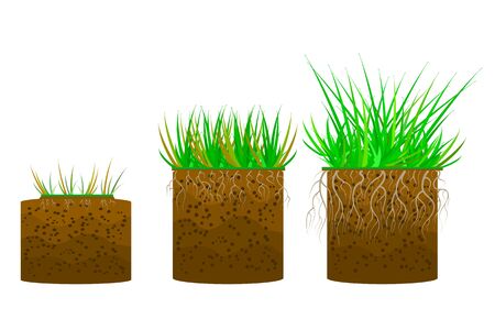 Set of green grass with a ground isolated on white background. Dirt layers. Soil layer scheme with grass, roots and earth texture. Cross section ground slice. Piece of land with green grass. Stock vector illustrationのイラスト素材