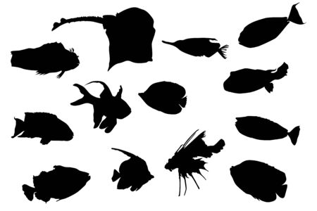 Set of fishes silhouettes isolated on white background. Collection shapes of tropical aquarium fish of different kinds in black. Abstract design logo or icon. Logotype art. Stock vector illustrationのイラスト素材