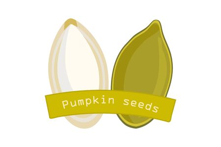 Pumpkin seeds icon isolated on white background. Whole and peeled pumpkin seeds in cartoon style for template label, packing and emblem farmer market design. Delicious healthy vegan snack. Stock vector illustrationのイラスト素材