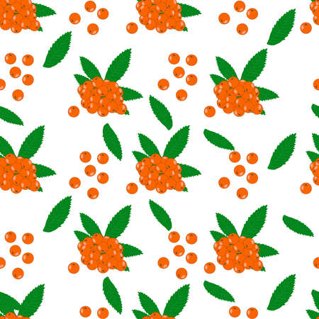 Seamless pattern with rowan berries isolated on white background. Autumn pattern with orange berries and leaves. Thanksgiving day, Christmas, label and packaging design. Fall colorful floral backdrop. Stock vector illustrationのイラスト素材