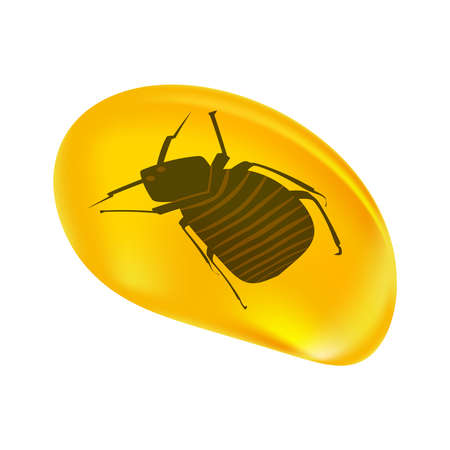 Insects in a drop of amber isolated on white background. Fossilised tree resin. Ancient amber midge inclusion. Piece of amber with a flea inside. Piece of amber preserving a piece of history inside. Stone with a prehistoric insect. Stock vector illustrationのイラスト素材