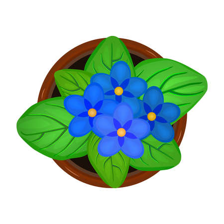 Flower in pot isolated on white background. Fresh bloom violet flower with green leaves in ceramic flowerpot. House plant top view. Landscape design projects or architecture plan. Stock vector illustrationのイラスト素材