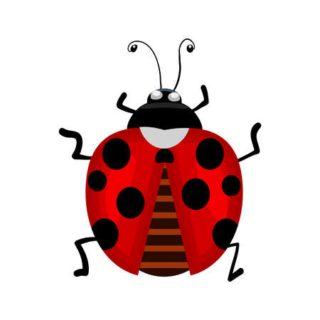 Ladybird isolated on white background. Ladybug small icon. Red lady bug sign. Top view of cartoon...